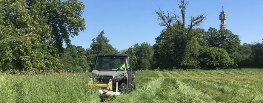 Engelsk slottspark under Skansens hästhage